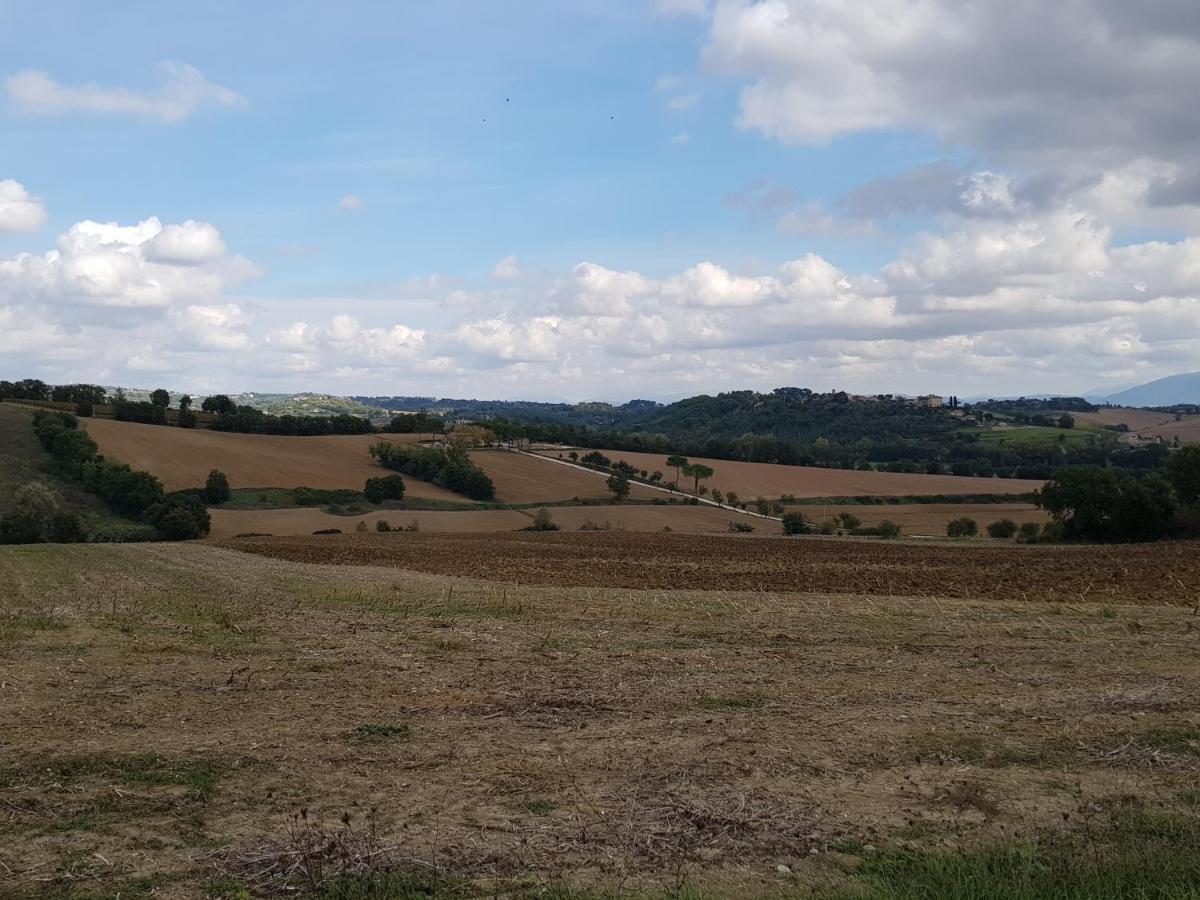 Agriturismo Il Pappamerlo Pila  Екстер'єр фото